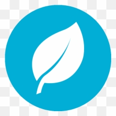 Download Hd Hfh Icon Coins Bluecircle Leaf - Language png