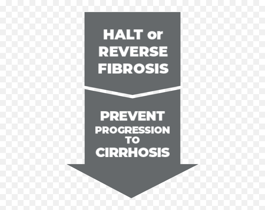 In Advanced Fibrosis Due To Nash Which Patients Are Transparent PNG