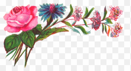 Digital Decorative Flower Corner Png