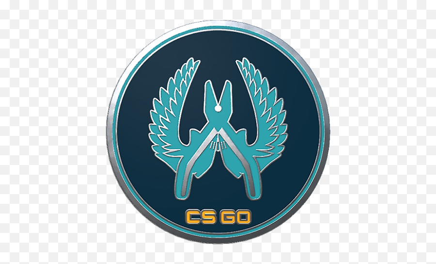 Csgo Collectible Pin Guardian Png Icon - Eatery Bar,Csgo Png