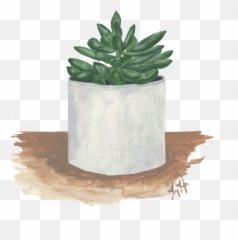 Plants Portraits Lauryn Leigh - Flowerpot Png,Succulent Png