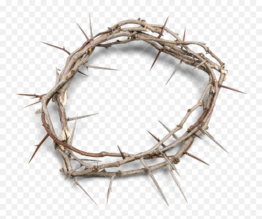 Download Crown Of Thorns Background - Transparent Crown Of Thorns Png,Thorn Crown Png