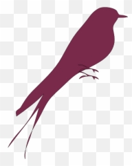 Purple Bird Clip Art - Vektor Burung Love png