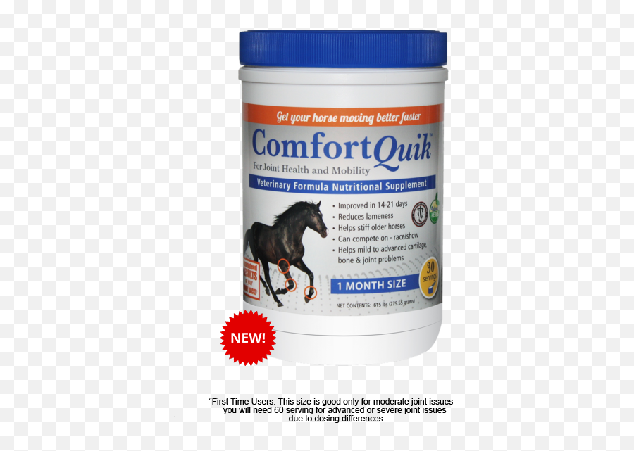 Comfort Quik - Stallion Png,Horses Png