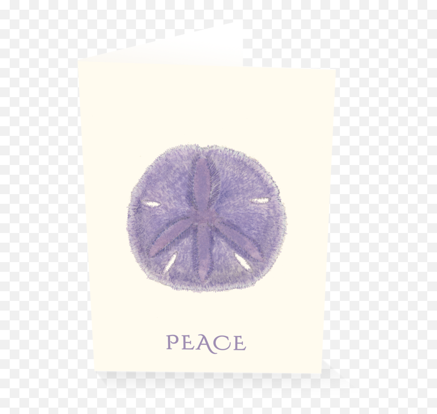 Peace Sand Dollar Holiday Card Boxed - Sand Dollar Png,Sand Dollar Png