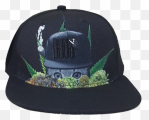 Download Hd Image Of High Cat Hat - Hat Transparent Png For Adult,Cat In The Hat Png