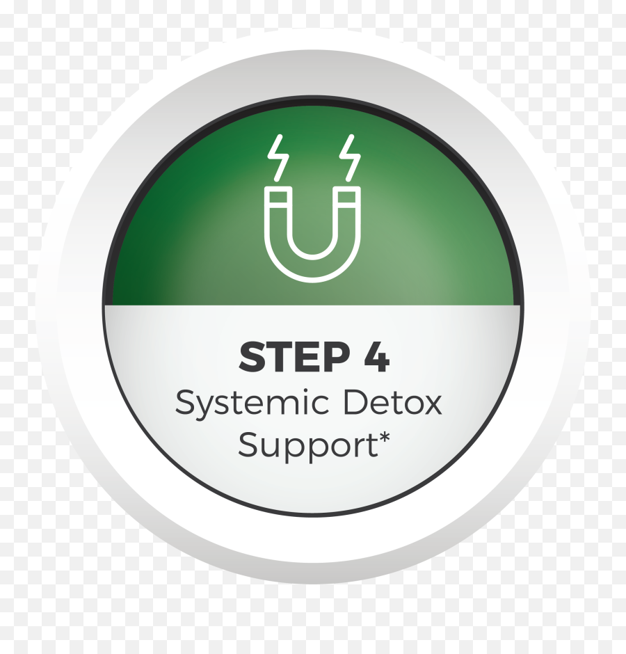 Foundational Protocol - Microbe Formulas Vertical Png,Step 4 Icon