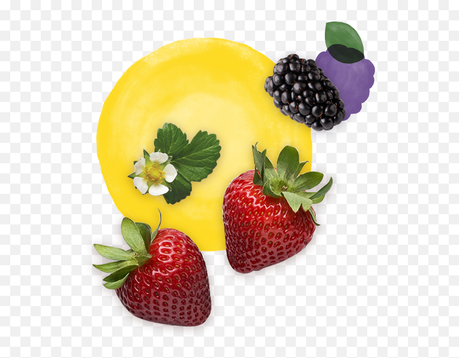 Only The Finest Berries - Serveware Png,Kpop Icon Pack