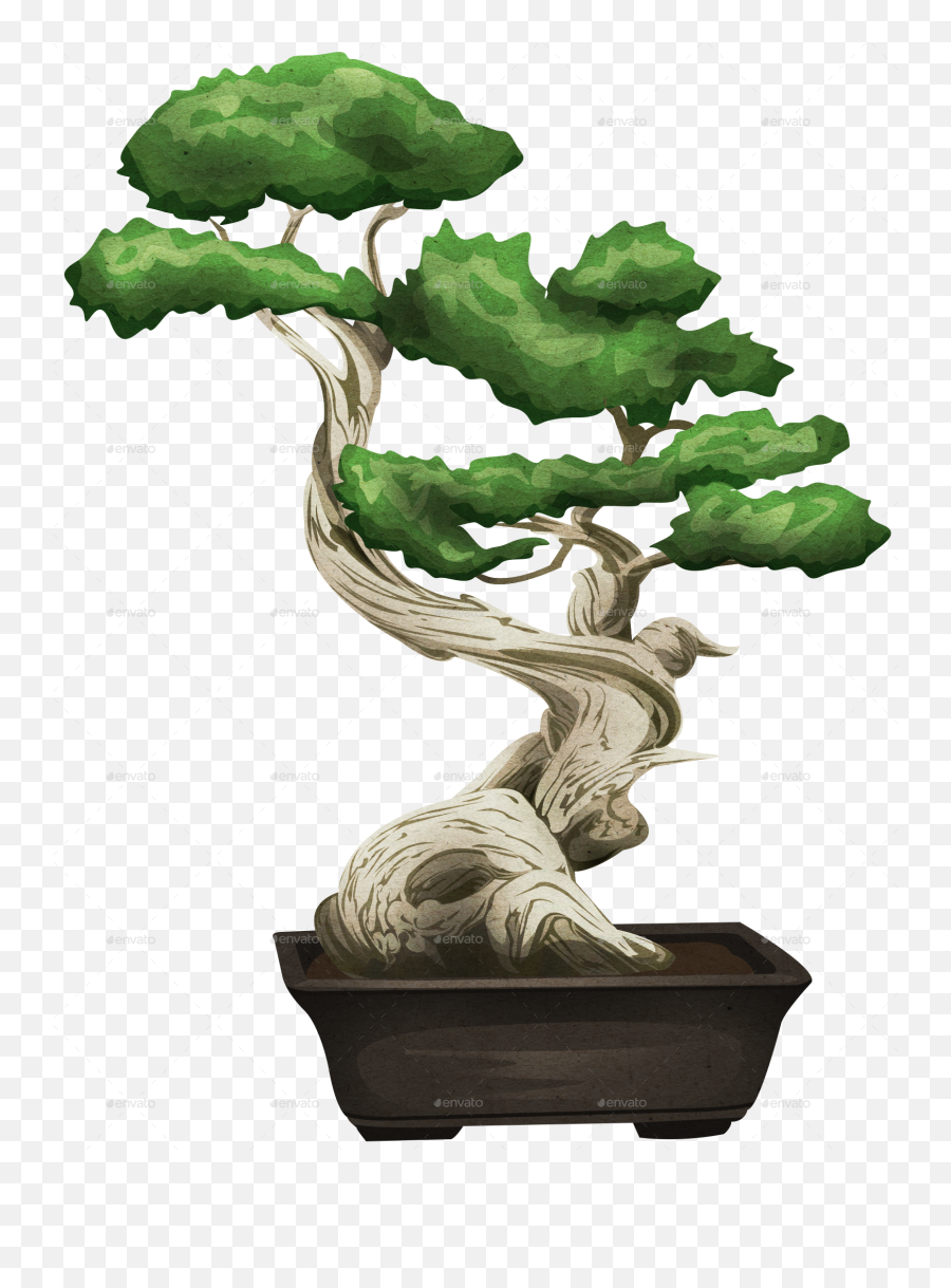 Bonsai Tree - Bonsai Tree Png,Bonsai Tree Png