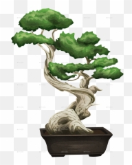 Free Transparent Bonsai Tree Png Images Page 1 Pngaaa Com