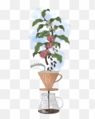 Reprise Roasters U2014 Coffee Png