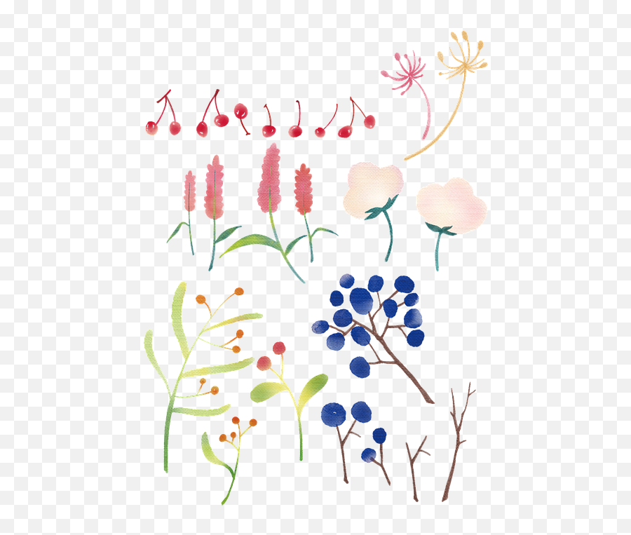 Flowers Plants Twig - Free Image On Pixabay Png,Twigs Png