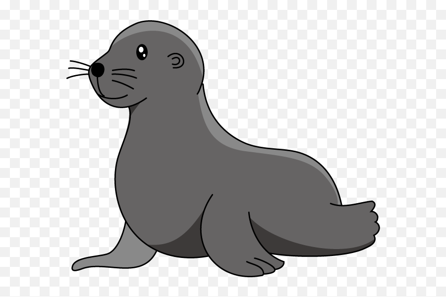 Seal Clipart Clapping Transparent Free For - Sea Lion Clipart Png,Clapping Png