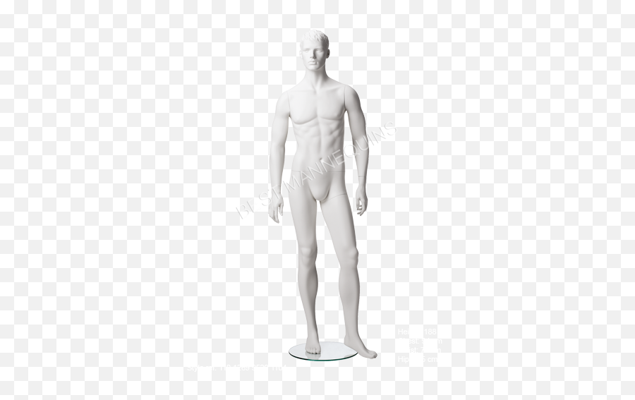 White Mannequin Png Male - Mannequin,Mannequin Png