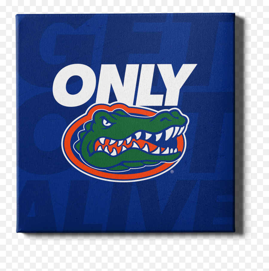 Florida Gators - Logo College Wall Art Png,Gator Icon