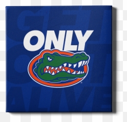 Florida Gators - LOGO College Wall Art png
