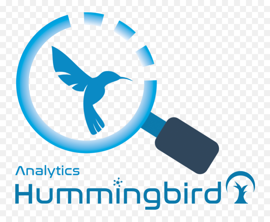 About Explora Consulting - Clip Art Png,Hummingbird Transparent