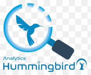 About Explora Consulting - Clip Art Png,Hummingbird Transparent