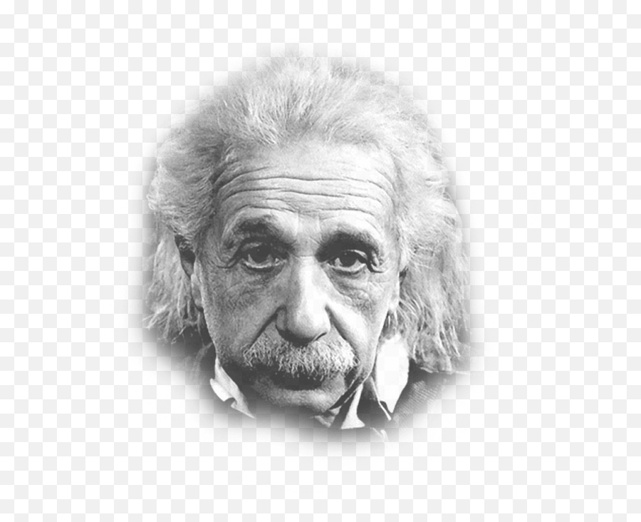 Download Einstein Hair Png - Transparent Png Png Images Famous Quote About Health,Donald Trump Hair Png