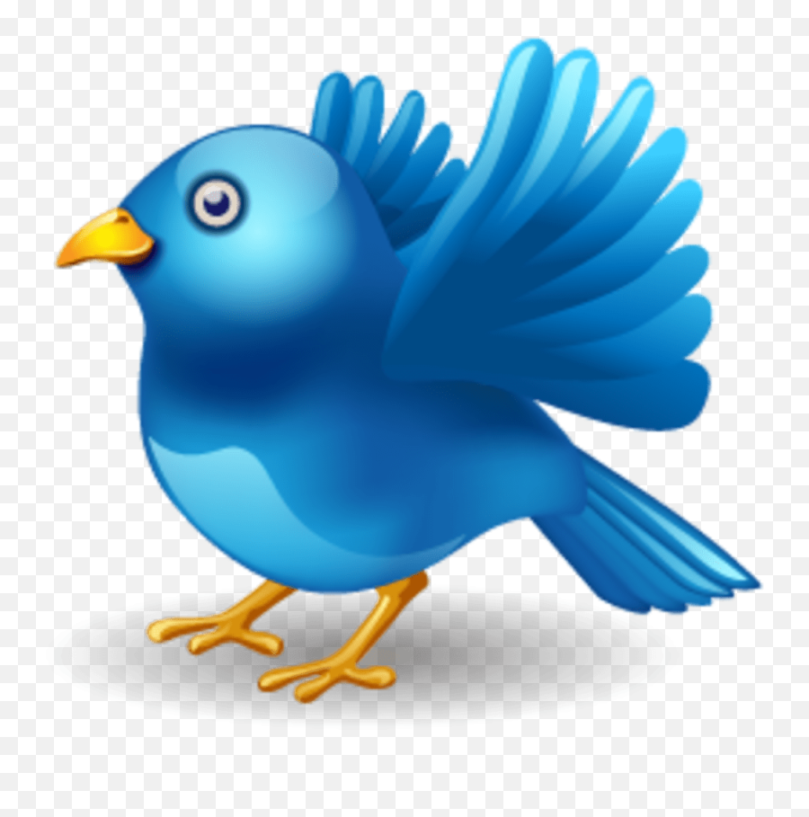Twitter Vector Icons Massive Icon Set - Twitter Bird Png,Twitter Bird Png