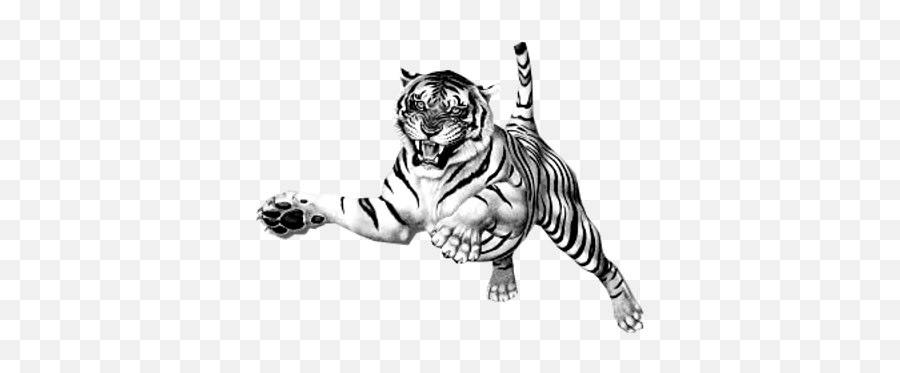 Tigers Transparent Png Images - White Tiger Roar Png,Tiger Png