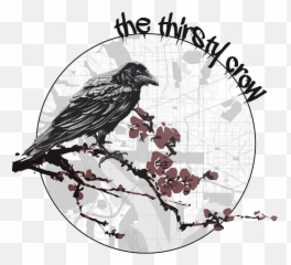 The Thirsty Crow - Thristy Crow Dc Png,Crow Transparent