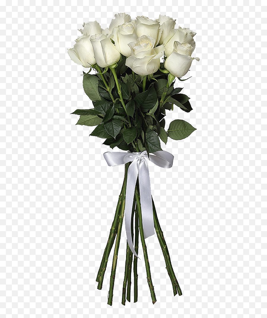 White Roses Png Hd Images