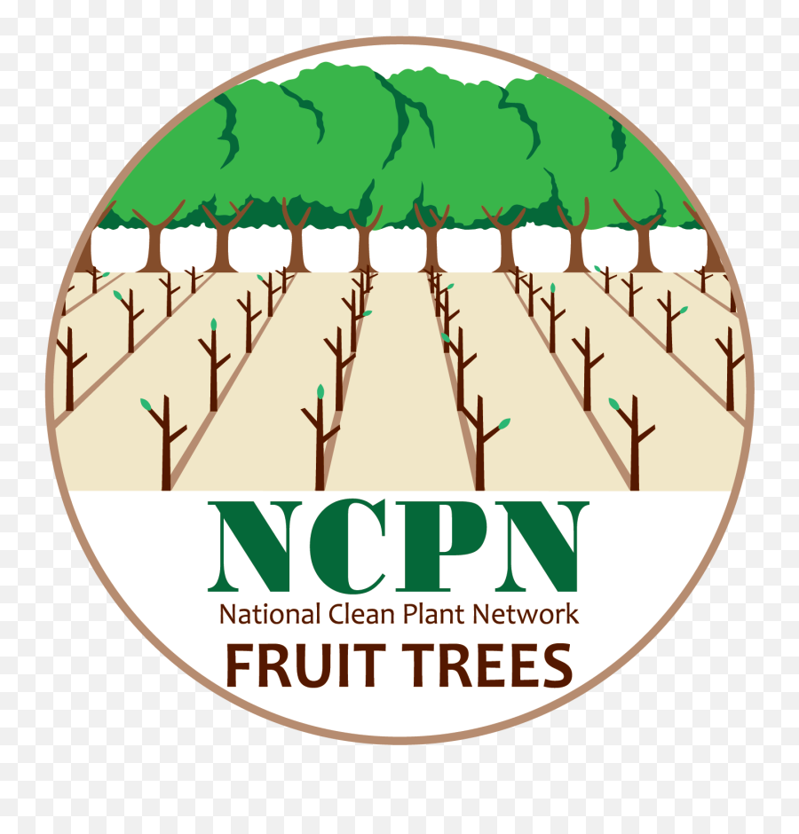Download Ncpn - Boulevard Png,Fruit Tree Png