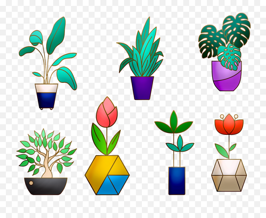 House Plants Cactus Flowerpot - Houseplant Png,House Plant Png
