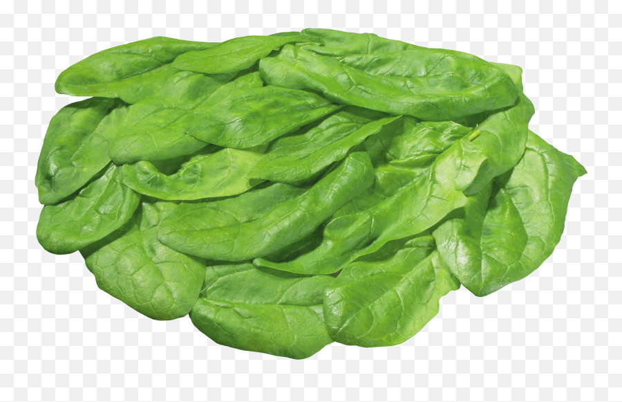 Green Salad Png Image - Transparent Background Iceberg Lettuce Clipart,Salad Transparent Background