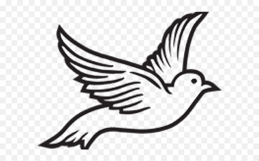 Dove Clipart Roman Catholic - Pigeons And Doves Png Dove Clipart Png,Dove Png