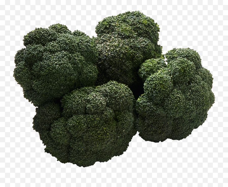 Broccoli Png Transparent Images Free Download Clip Art - Bitter Taste,Brocolli Png