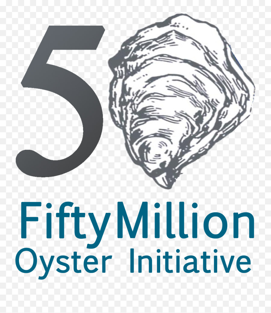 North Carolina Coastal Federation - Conch Png,Oysters Png