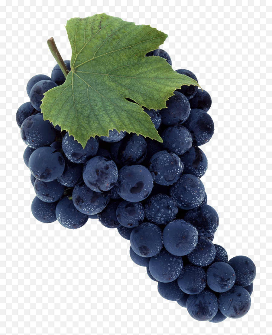 Grape Png Transparent Background - Merlot Grape Png,Grapes Transparent Background
