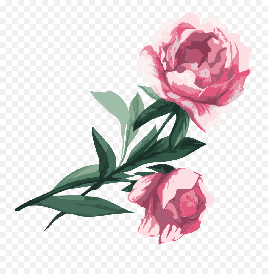 Svg Black And White Flower Garden Roses Peony Clip - Png Png,Peony Png