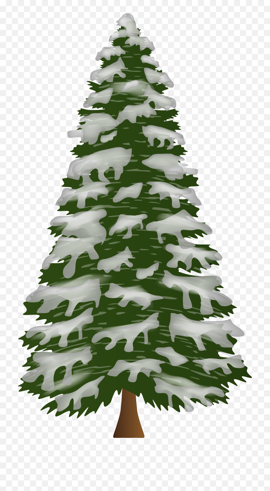 Pine Forest Png - Snow Pine Png Pine Tree Snow Png Fir Tree Snow Png,Forest Tree Png