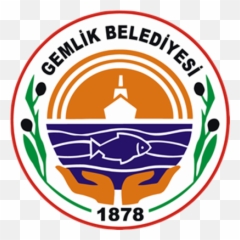 Trackless Fun Train - Gemlik Belediyesi png