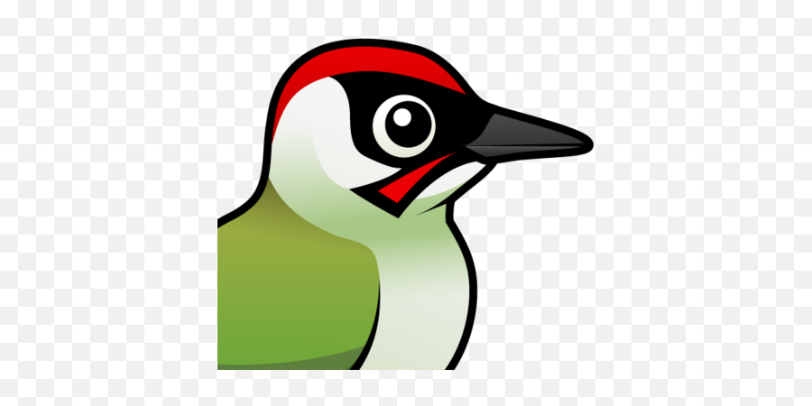 Cute Green Woodpecker By Birdorable U003c Meet The Birds - Green Woodpecker Cartoon Png,Woodpecker Png