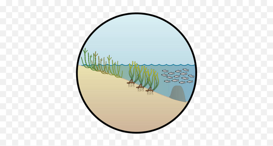 Habitat Icon - Coastal Ecosystem Png,Habitat Icon