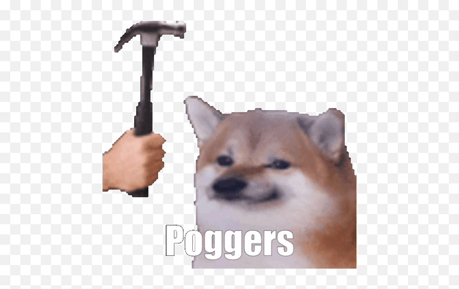 Poggers Hammer Gif - Poggers Hammer Doge Discover U0026 Share Gifs Doge Meme Gif Png,Pogchamp Icon