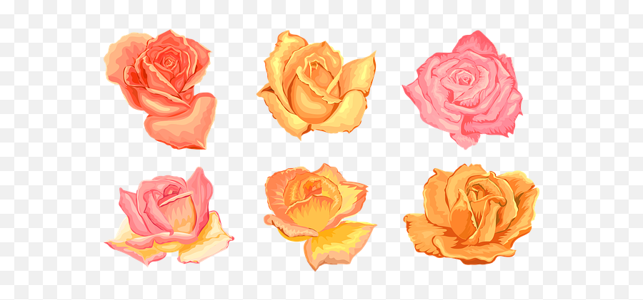 Over 80 Free Rose Petals Vectors - Pixabay Floral Png,Medibang Icon
