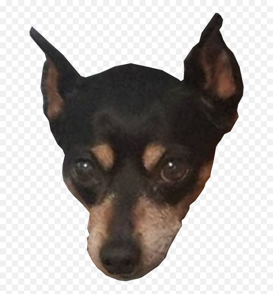 Dobbyu0027s Cup - Est 2019 Toy Manchester Terrier Png,Dobby Png