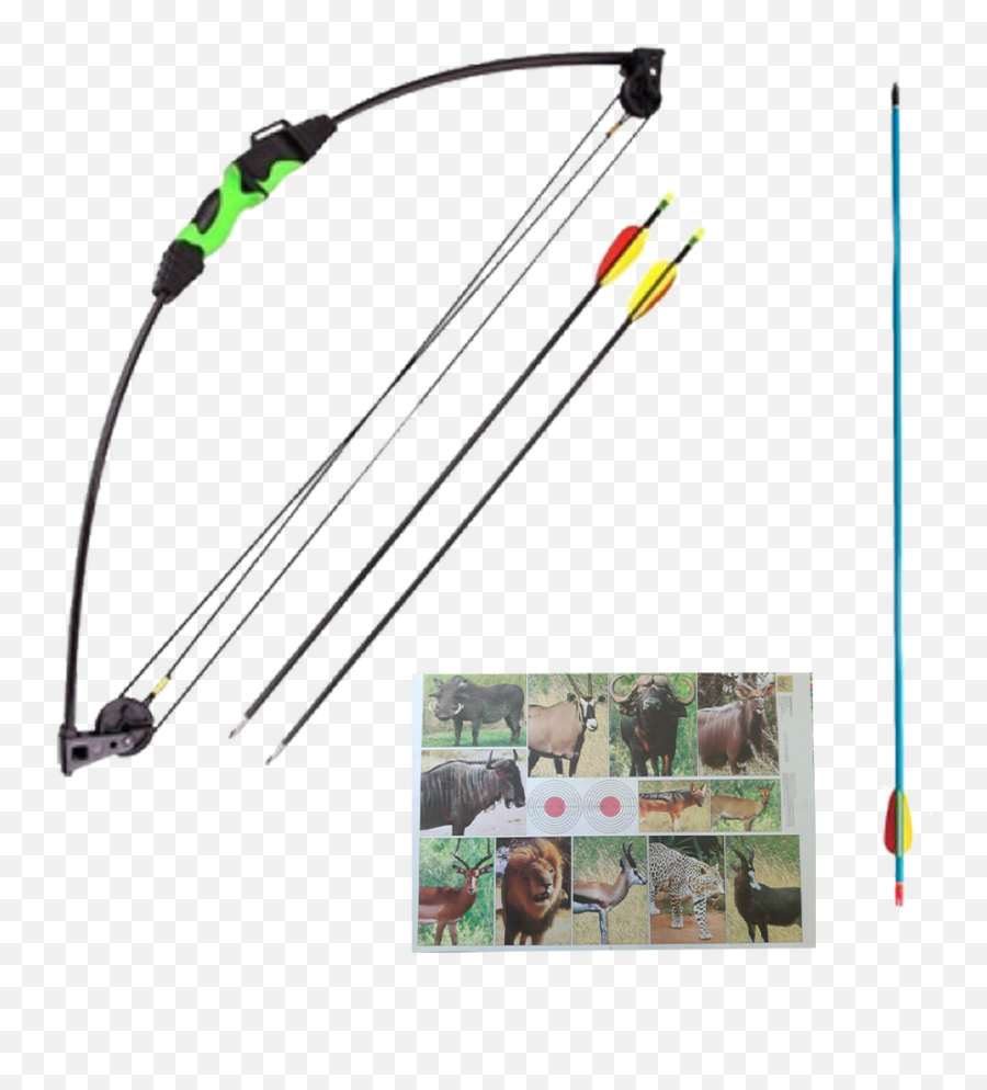 Archery Blades And Triggers Beautifully Designs Products - Compound Bow Png,Bow And Arrow Transparent
