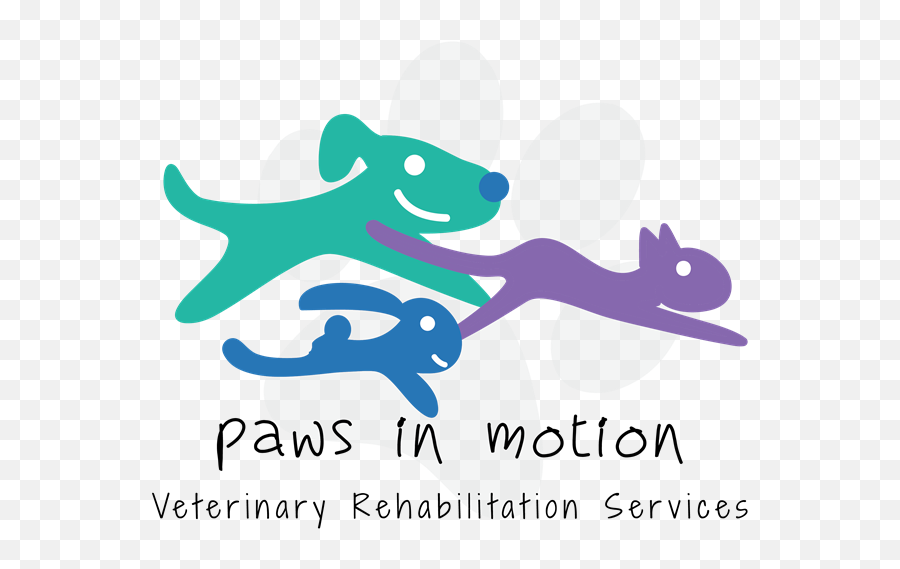 Bold Playful Veterinary Logo Design For Paws In Motion - Graphic Design Png,Veterinary Logo