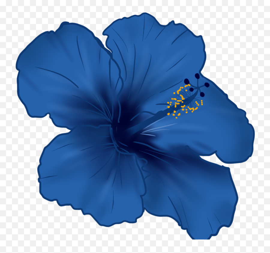 Hawaiian Flower Vector Png - Blue Hawaiian Hibiscus Flower,Hawaiian Flower Png