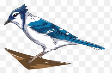 Blue Jay Clipart - Blue Jay Clipart Png,Blue Jay Png