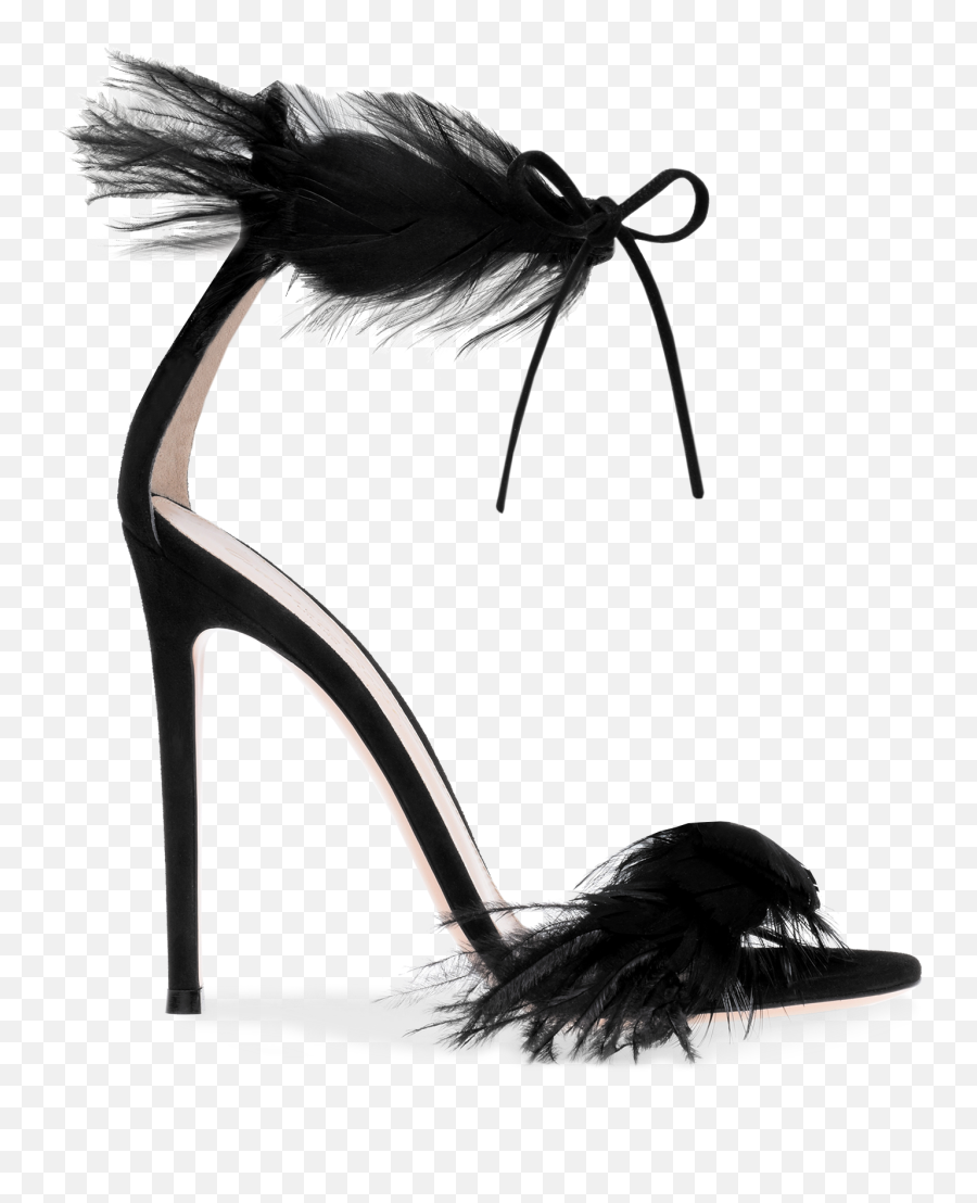 Athena - Gianvito Rossi Black Feather Heels Png,Black Feathers Png