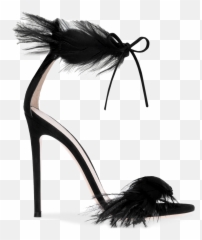 Athena - Gianvito Rossi Black Feather Heels png
