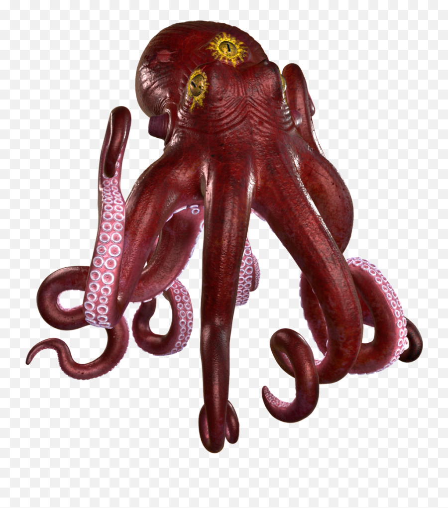 Hd Octopus Png Transparent Image - Octopus,Octopus Png