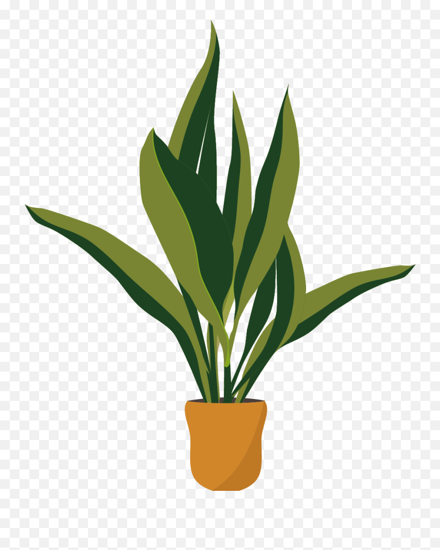 Free Png Plant - Houseplant,Yucca Png
